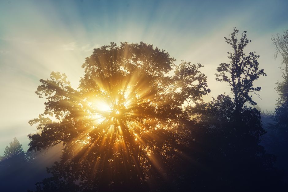 What if I am still healing myself?