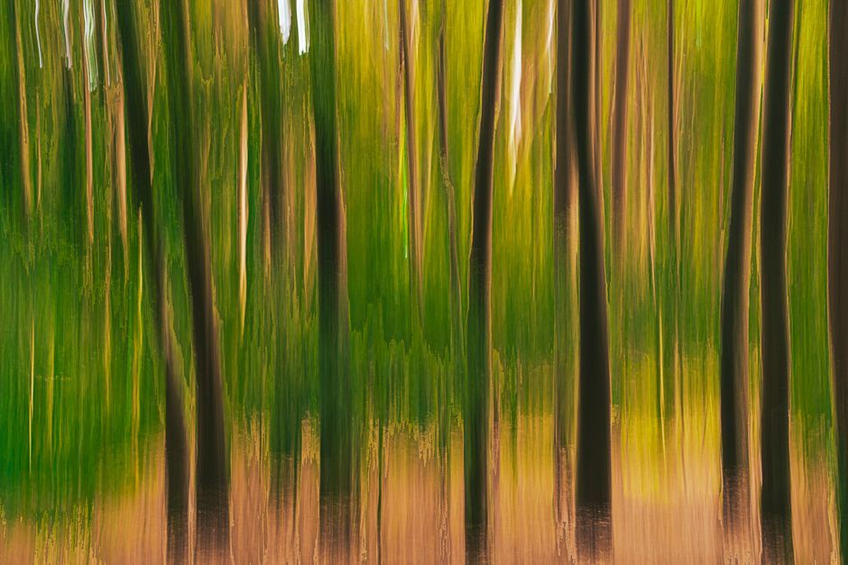 How do I stop sweating from anxiety?