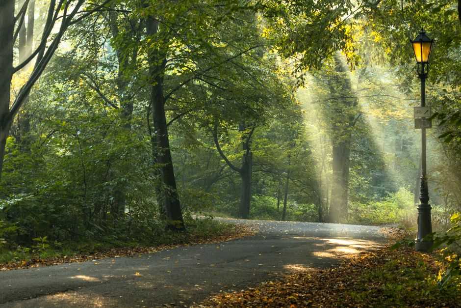 Do affirmations actually work?