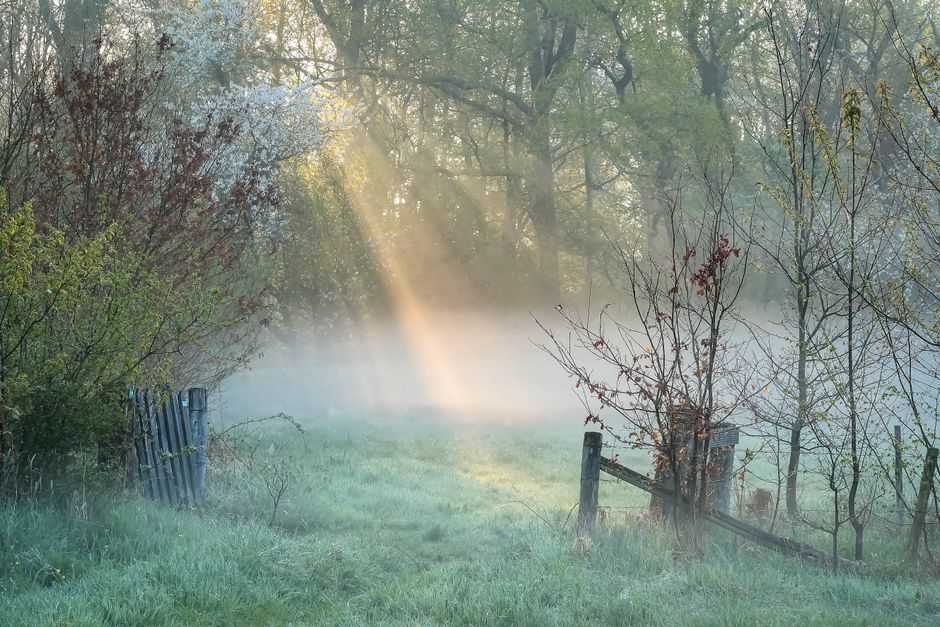 Does gratitude really help with anxiety?