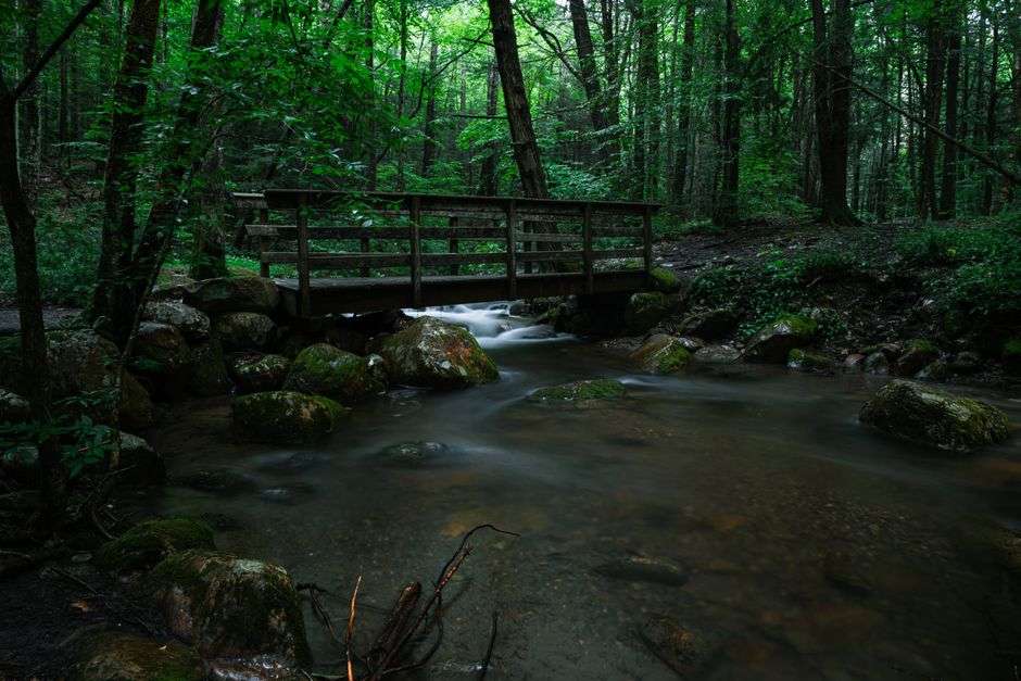 What are drainage pathways?