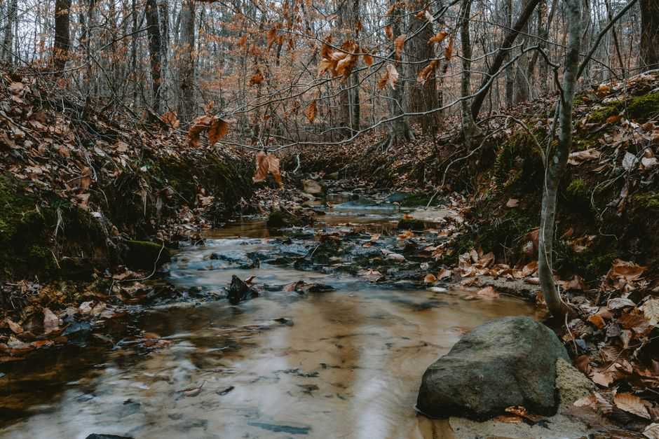 What everyday habits keep drainage pathways open?