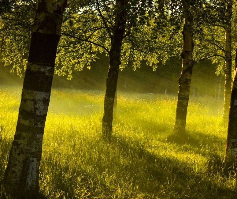Is tenderness a weakness?
