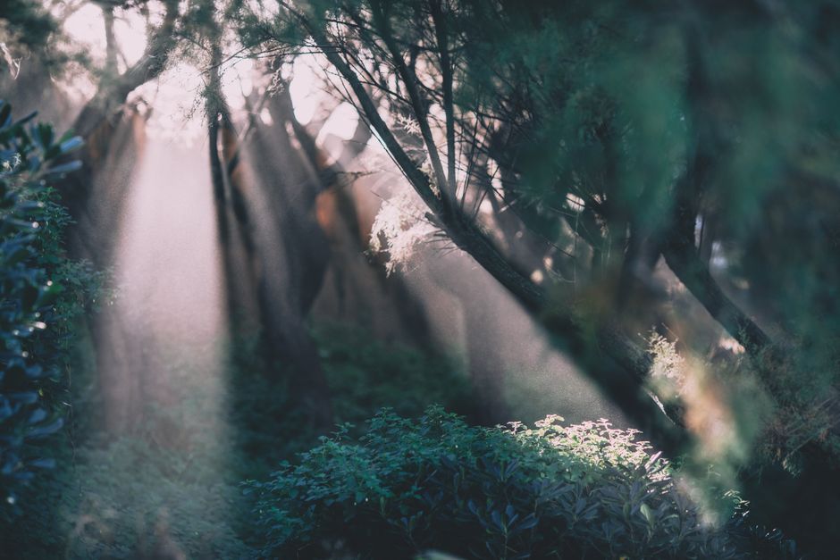 Where does negative self-talk come from?