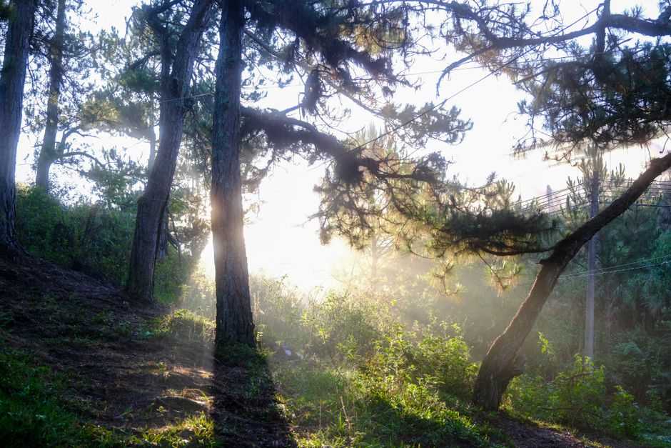 What if the holidays bring up grief?