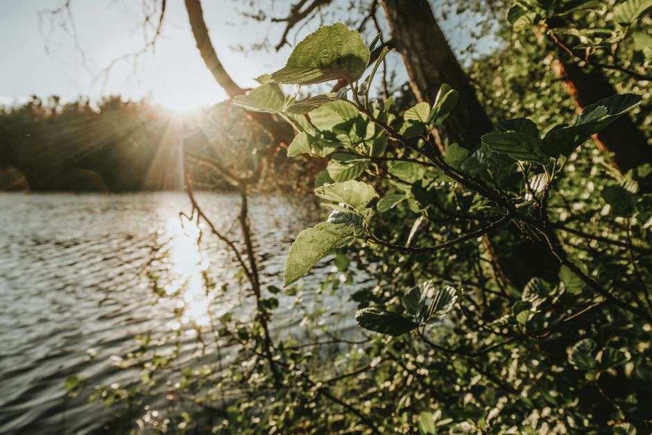 How do you actually forgive yourself?
