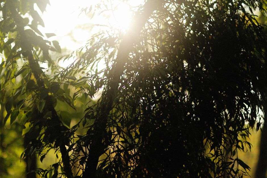 Is forgiving yourself different from forgiving someone else?