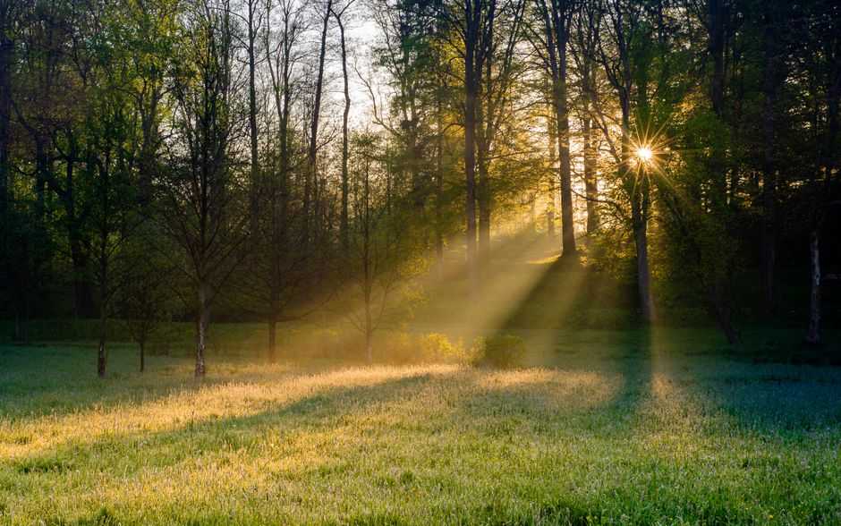 What are the signs you are living in survival mode?
