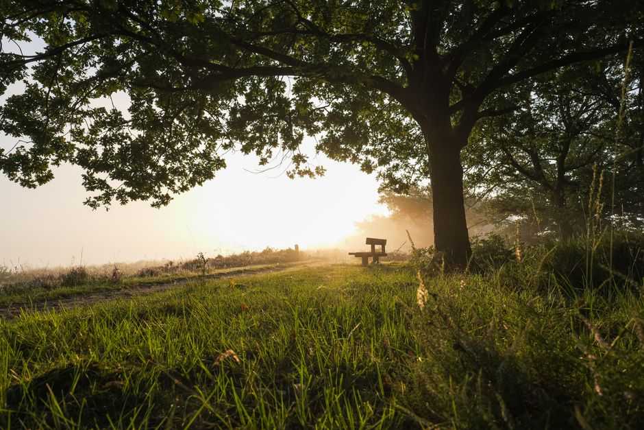 How do you start inner child healing?