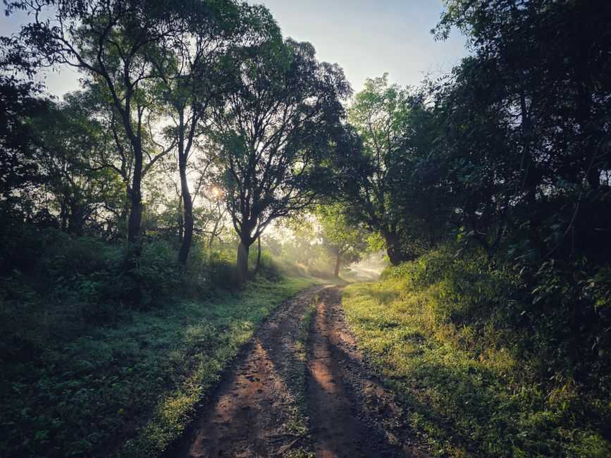 What are the signs your inner child needs healing?