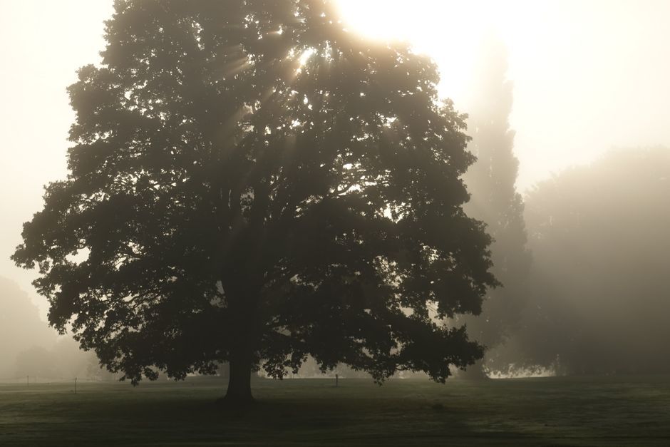 How do you tell God's voice from your own fear?
