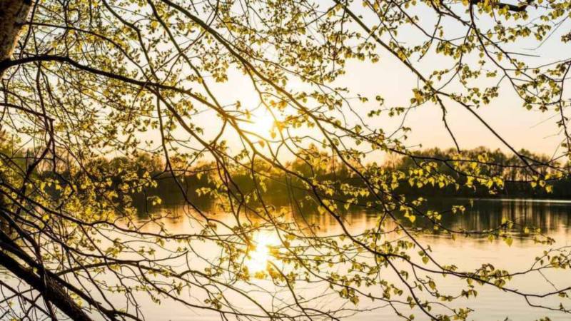 What does your body have to do with hearing God?