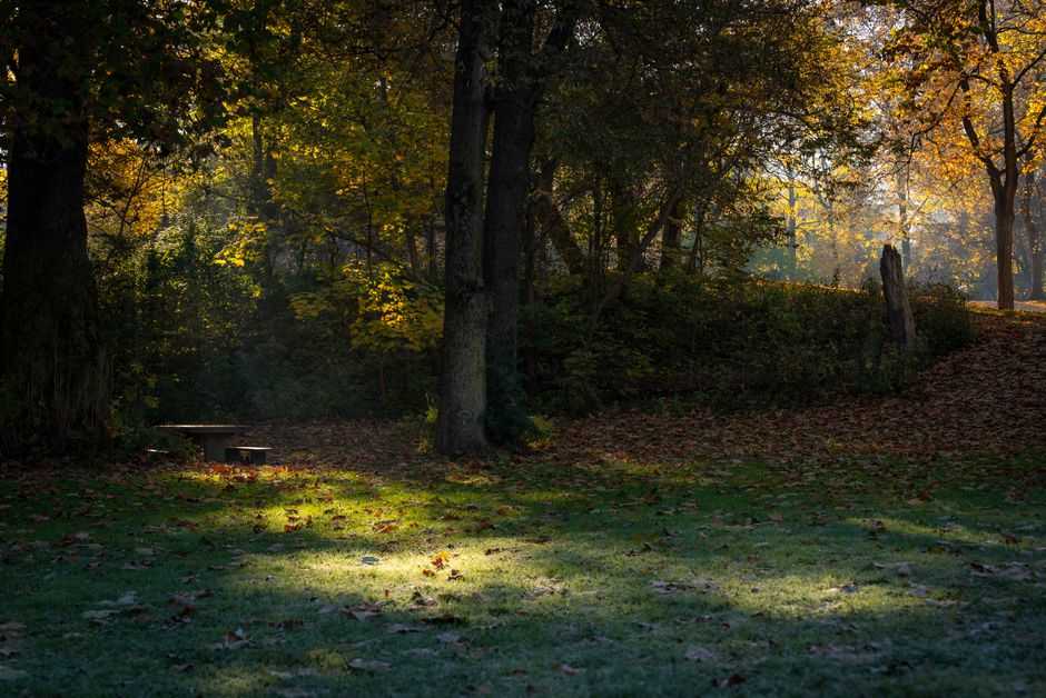 How can I build a calmer home for my child?