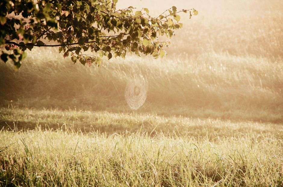 How do I help my child calm down in the moment?