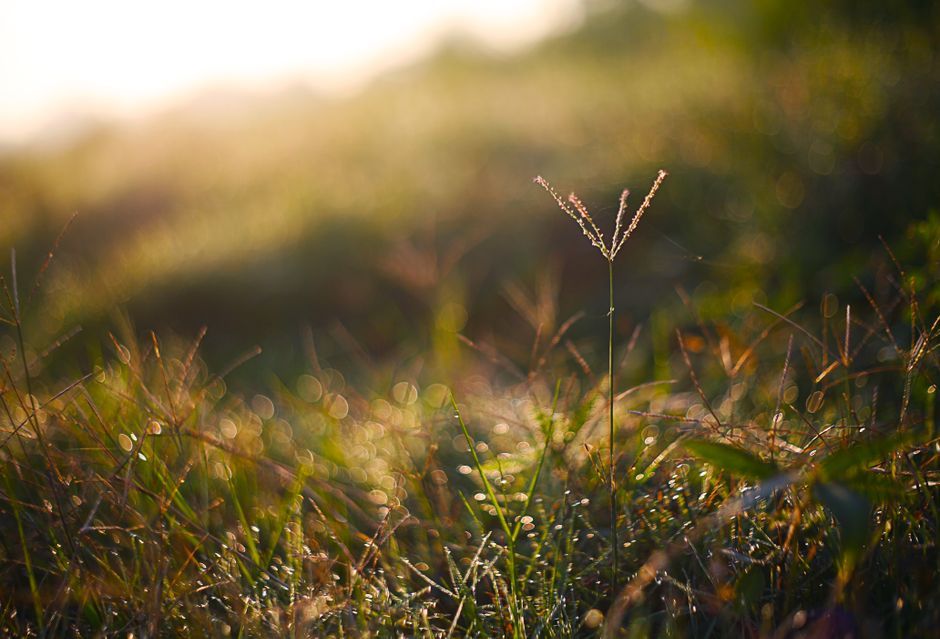 How do you rest when you are burned out?