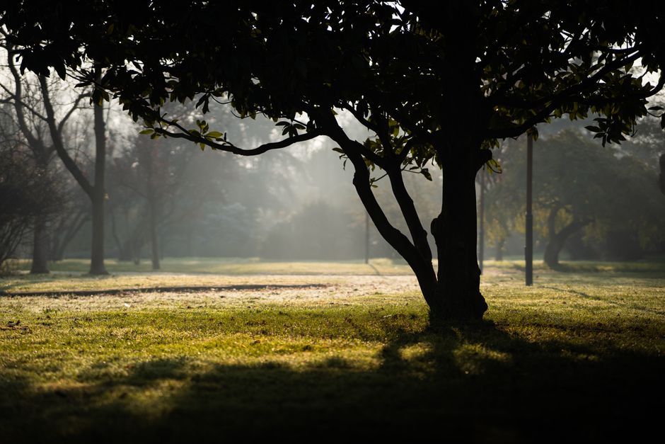 What is the first step to recovering from burnout?
