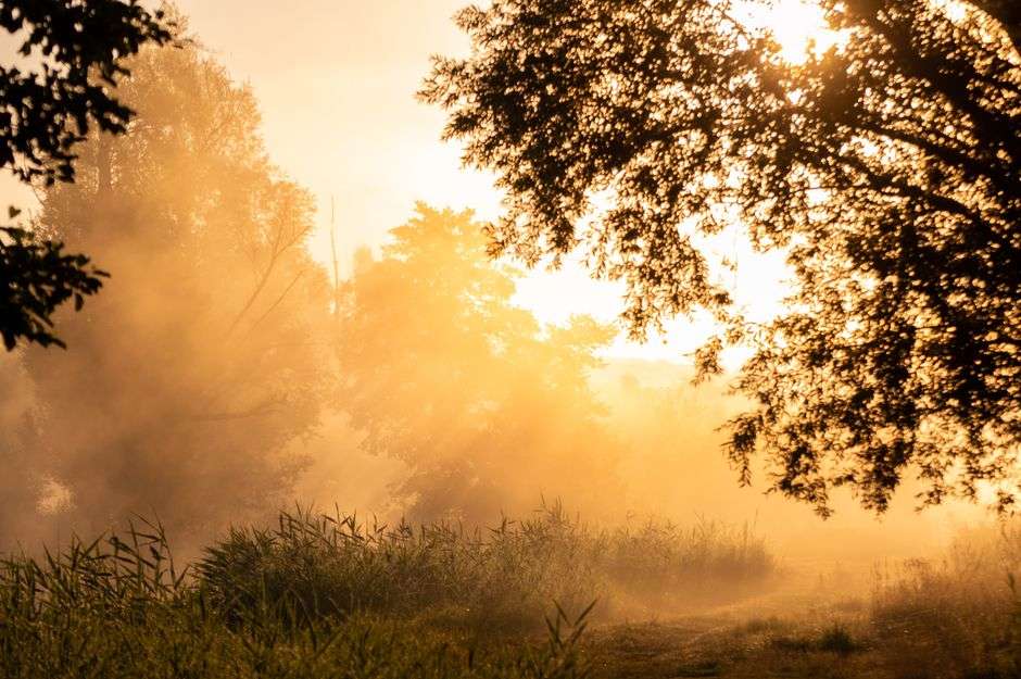 What does it mean to regulate your emotions?