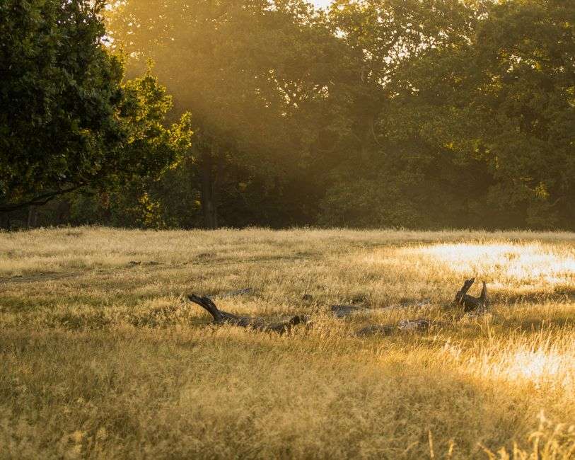 What does a healthy boundary actually feel like?