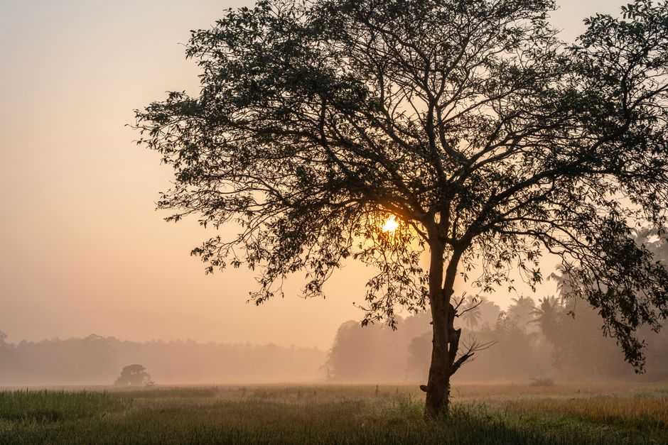 When should I see my physician about perimenopause?