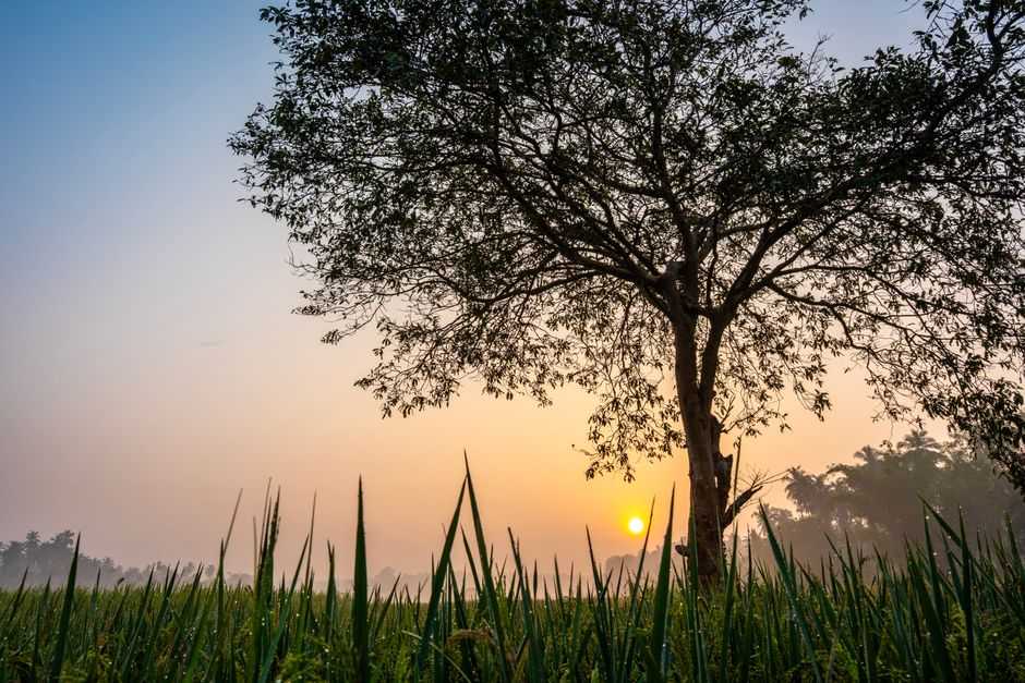 What are five journaling prompts for healing?