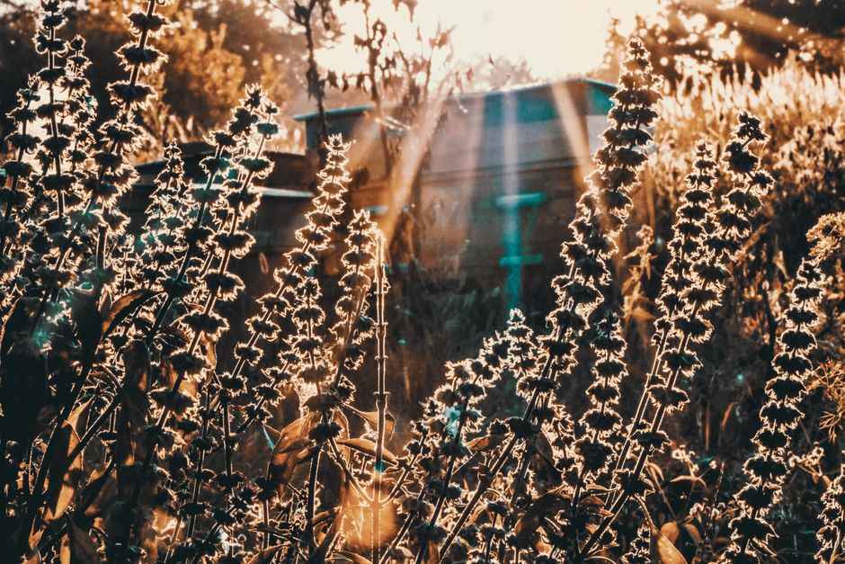 What if journaling stirs up more than I expected?