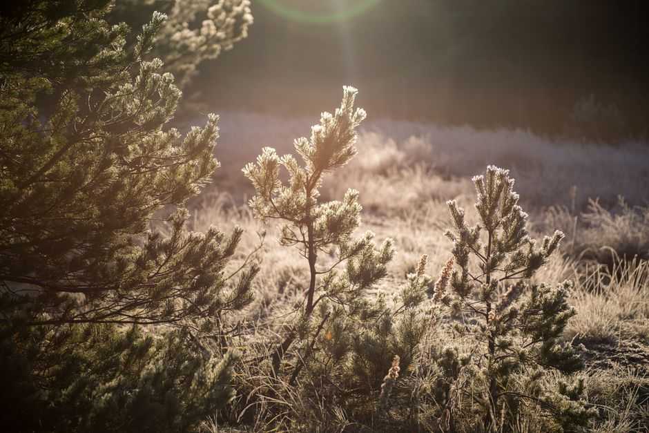 Can prayer help when you feel anxious?