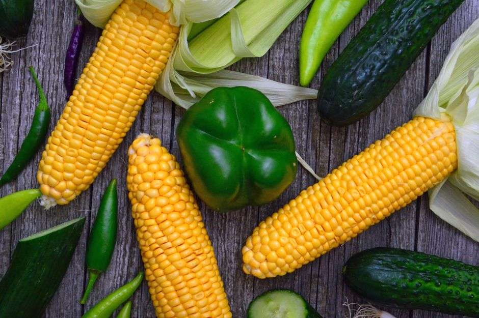 Why this matters for gut symptoms