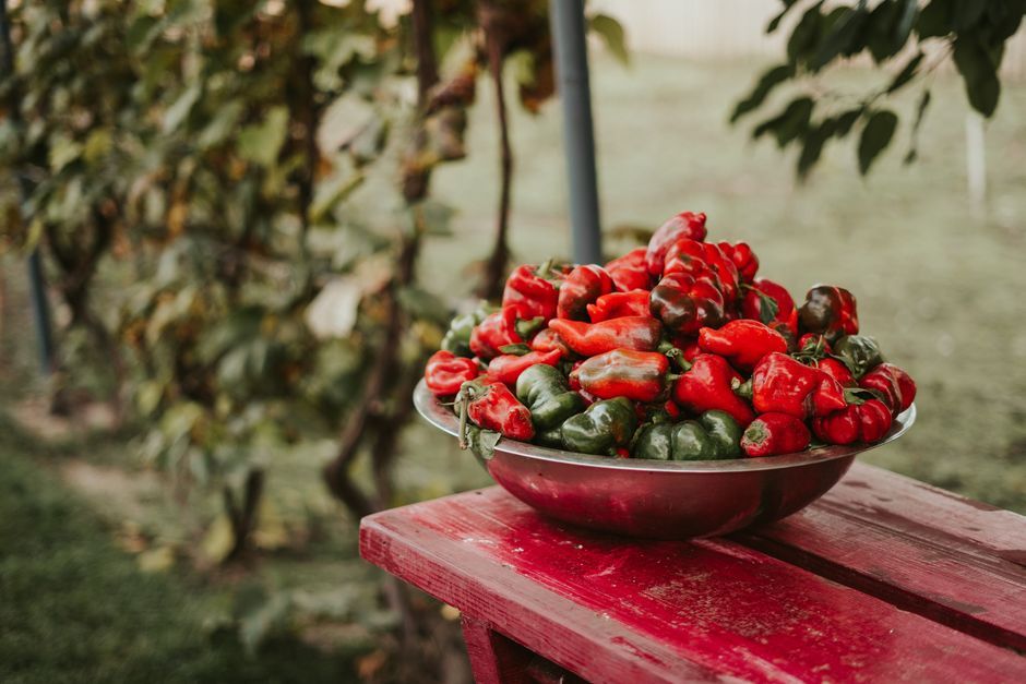 What are gentle ways to support your gut?