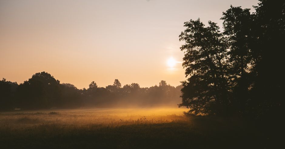 How does healing generational trauma begin?