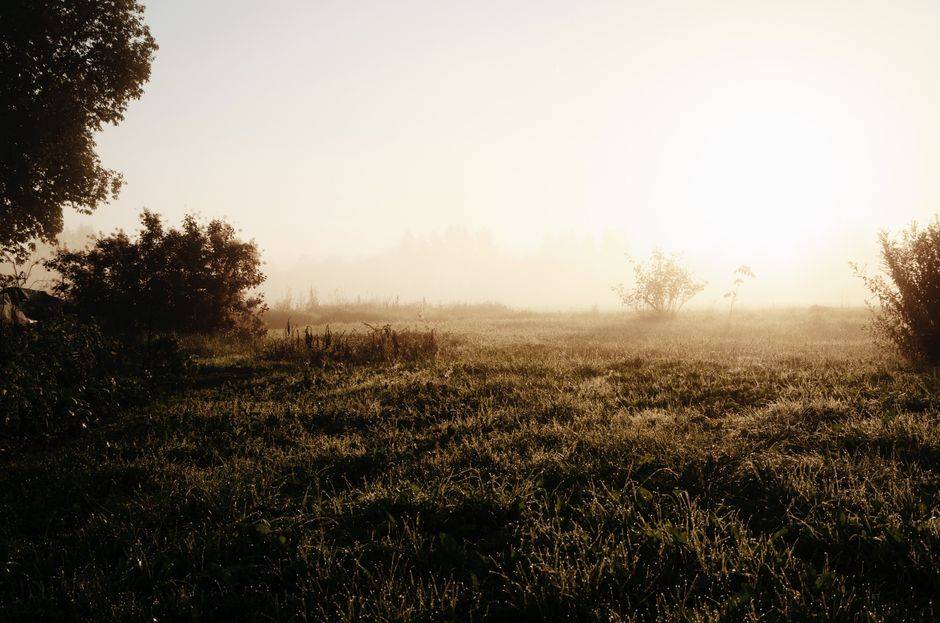 What are the emotional and relational signs?