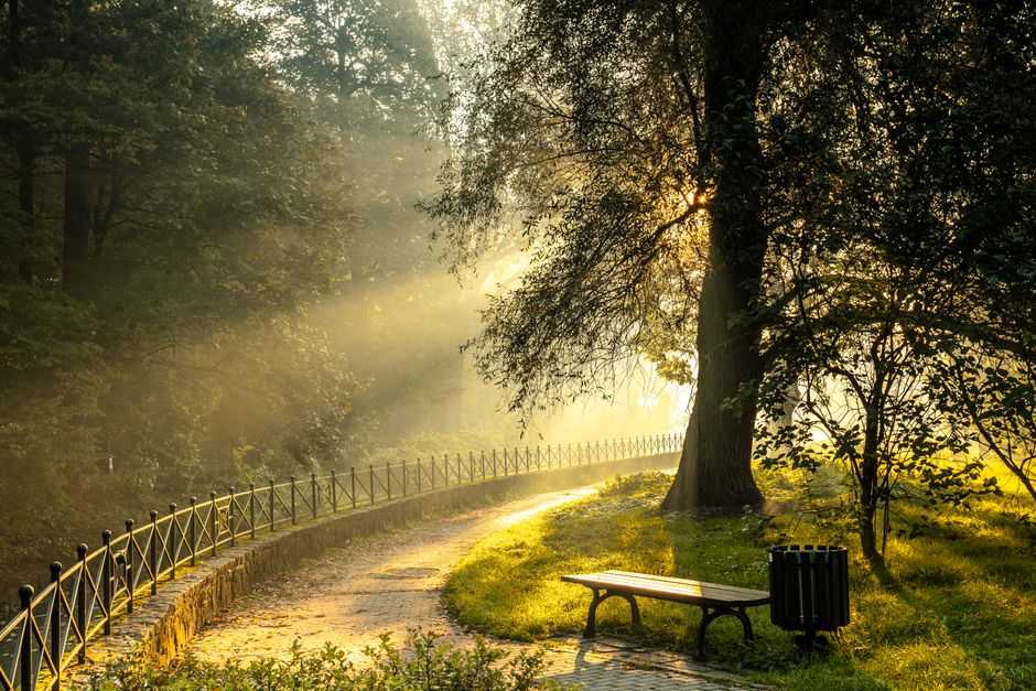 How do you get your life back in alignment?