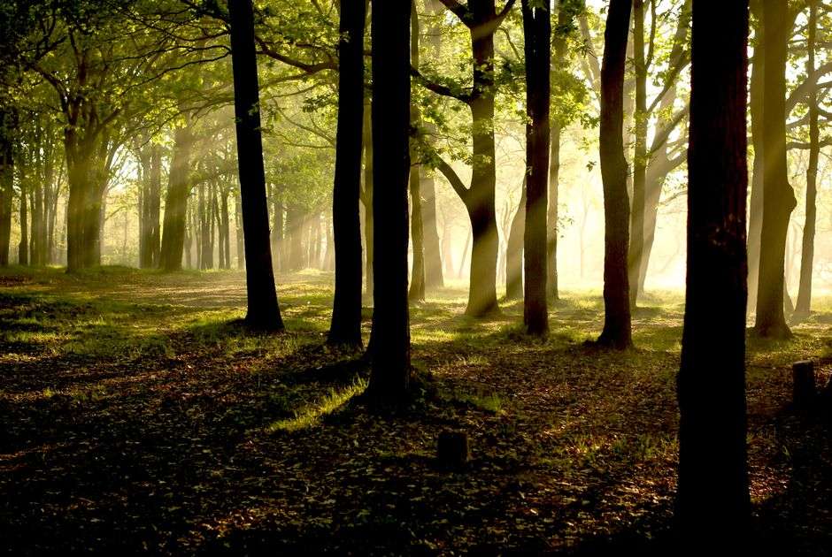What are the signs your life is out of alignment?