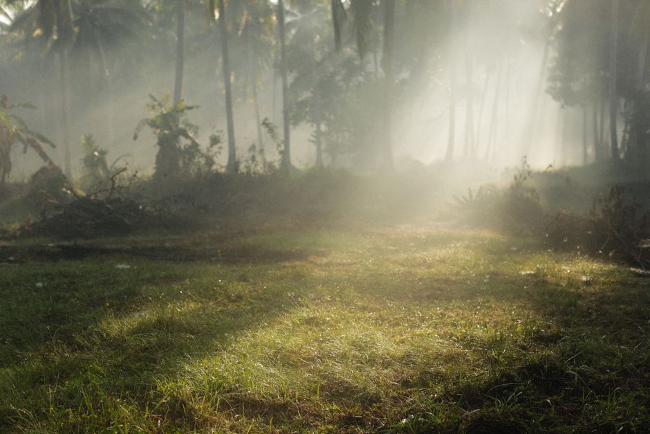 How do you calm high-functioning anxiety?