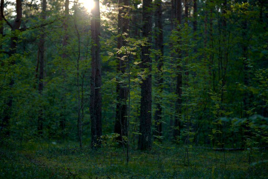 Why do stress and anxiety feel the same in the body?