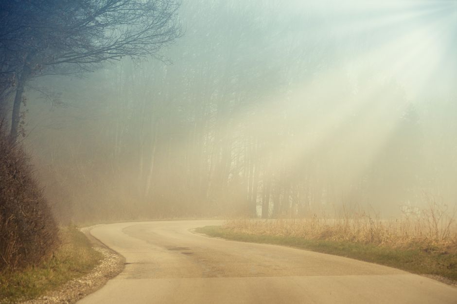 Why does socializing use so much energy?