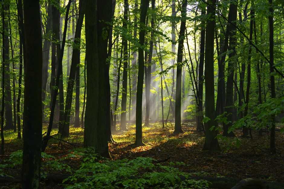 Why do I feel anxious when nothing is wrong?