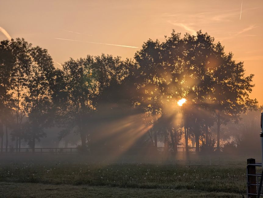 What is the difference between the winter blues and seasonal depression?