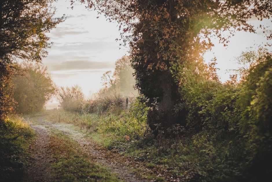 When should I see my physician?