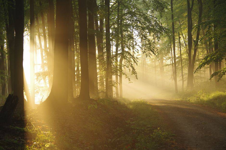 Why do shorter days affect my mood?