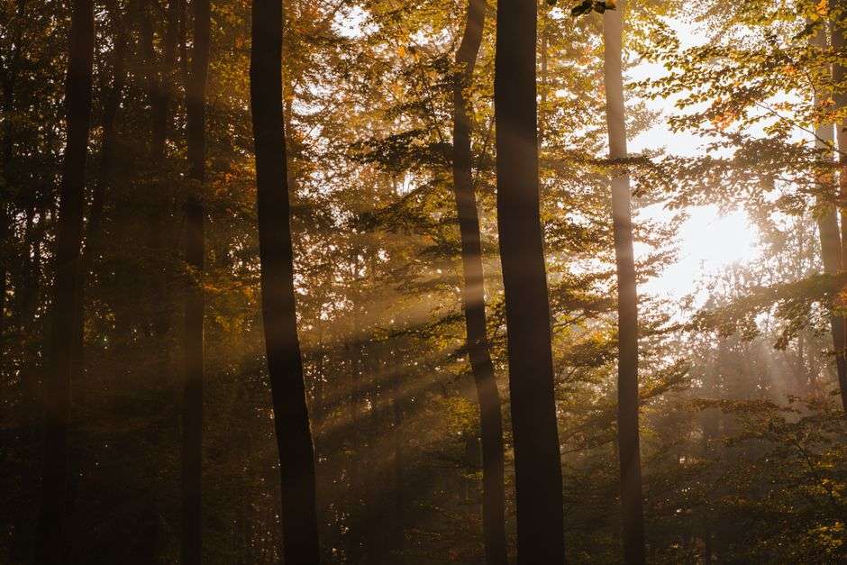 What does emotional numbness feel like?