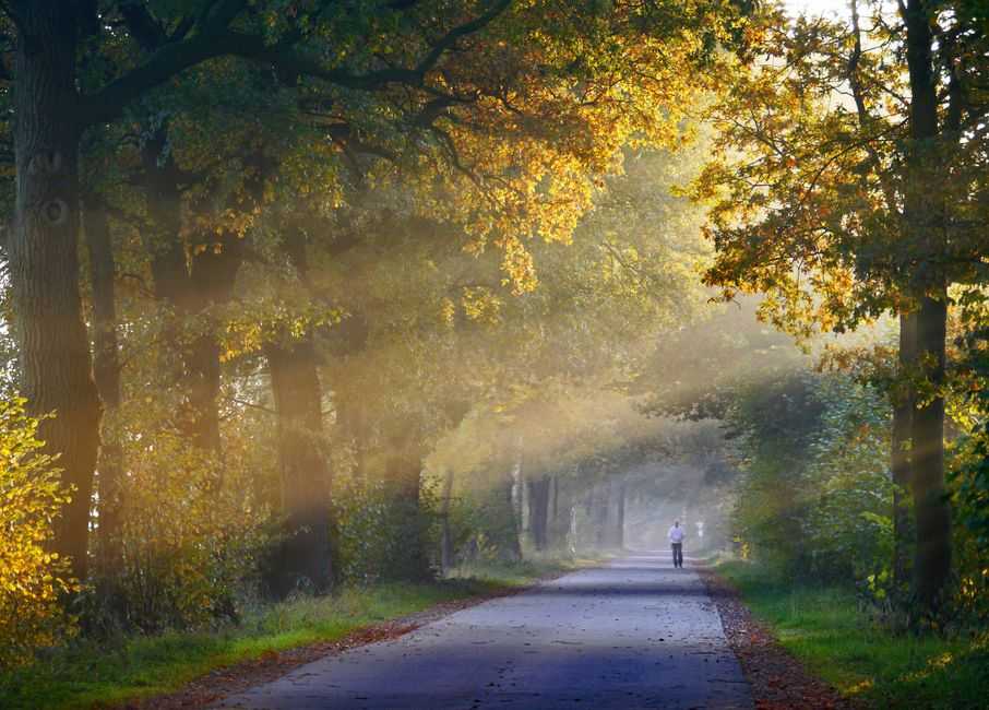 What is loneliness, really?