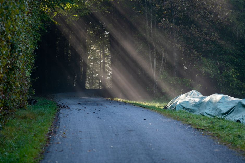 What does brain fog actually feel like?