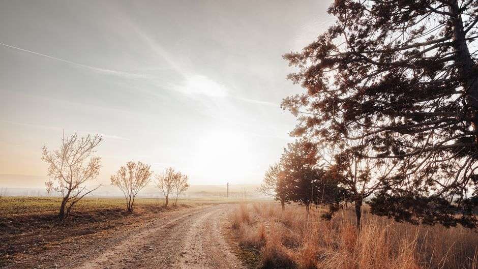 How do you calm anxiety when you first wake up?