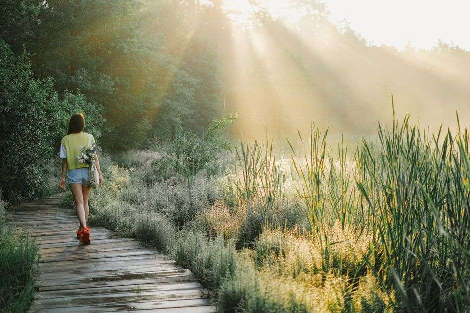 What does cortisol have to do with weight?
