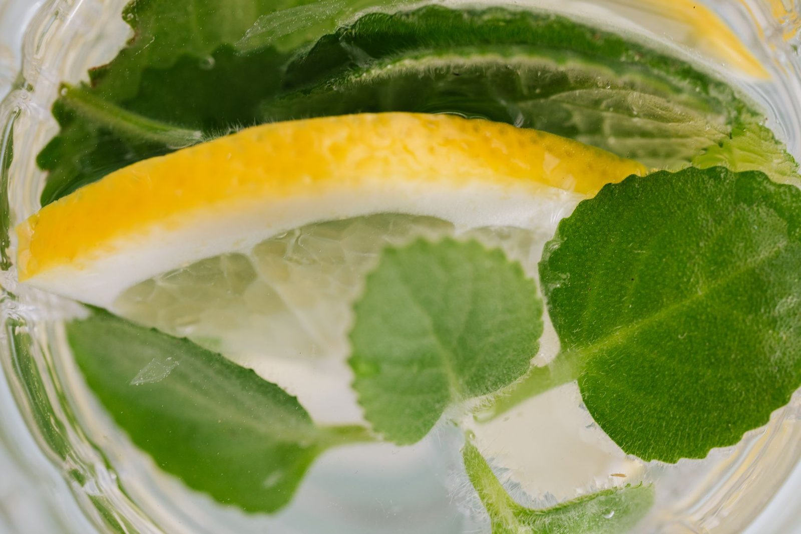 Water infused with lemon and fresh mint