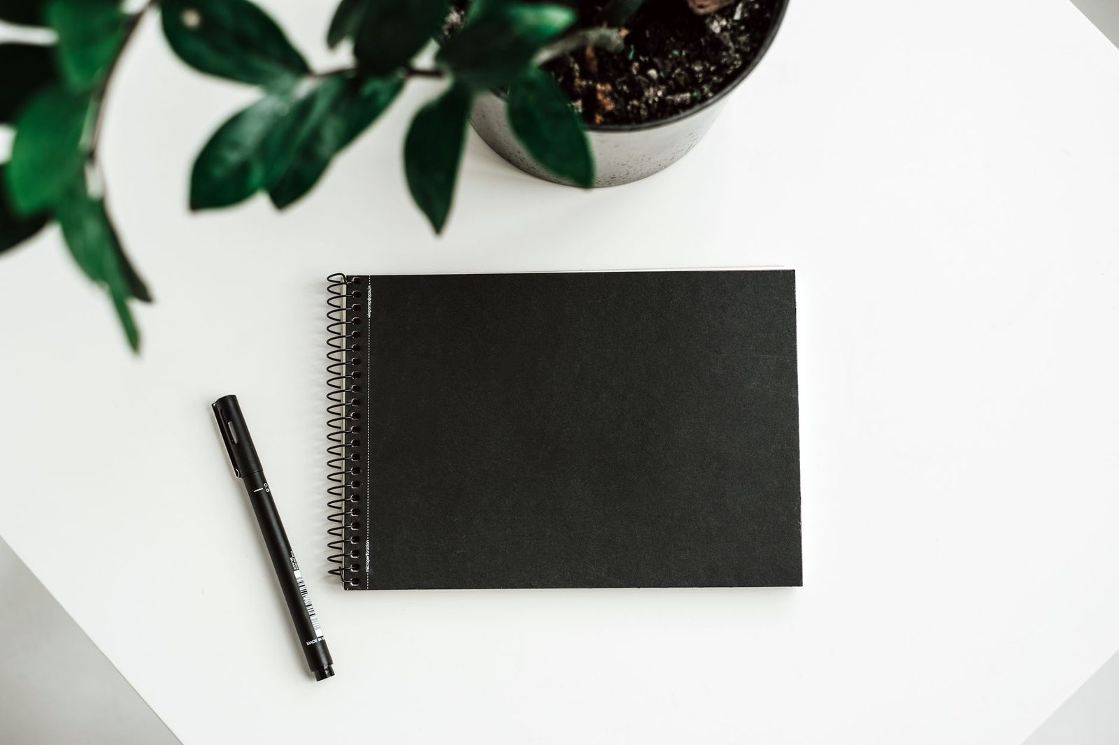 An open journal and a small green plant on a pale desk