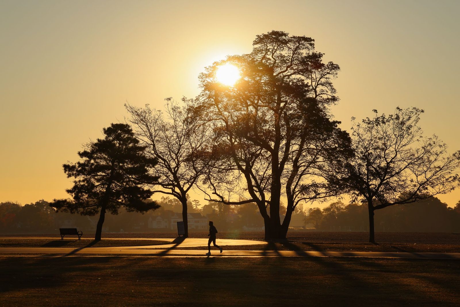 A walking path through an open field at sunrise