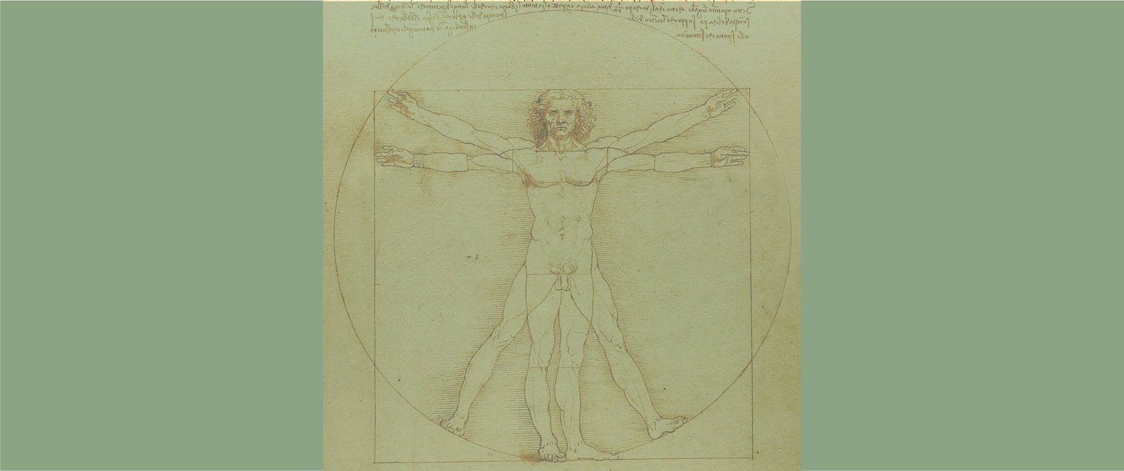 vitruvian