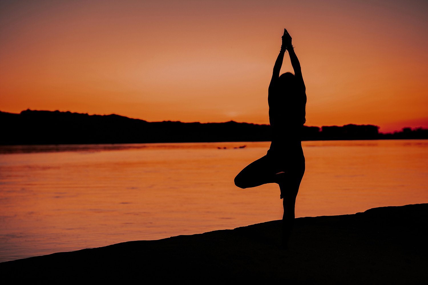 inflammation support 1