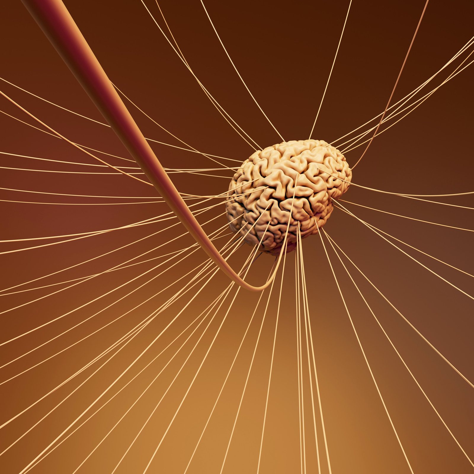 gut brain connection